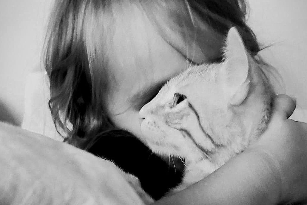 porady rodzinne terapie siedlce