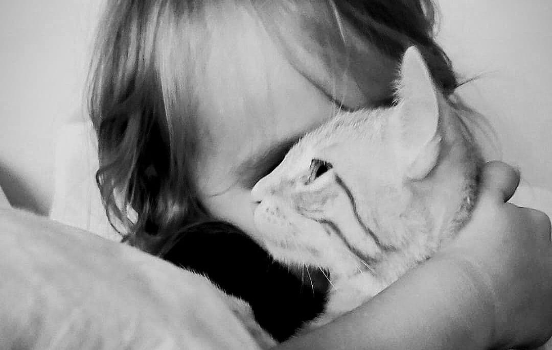 porady rodzinne terapie siedlce